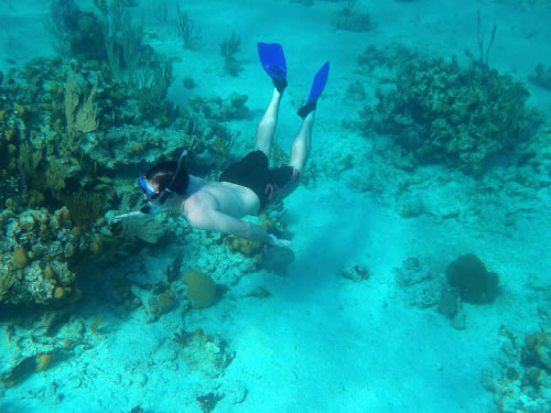 Bahamas snorkelling