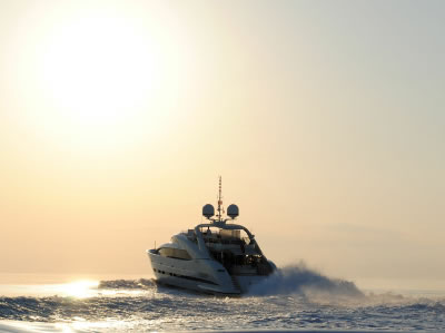 Sealyon cruising