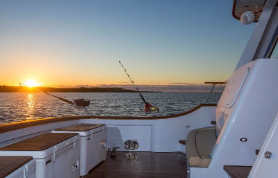 Yacht Tumblehome cockpit