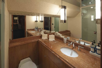 Sharon Lee guest bathroom